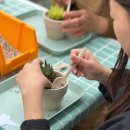 반려식물 다육토분 이미지