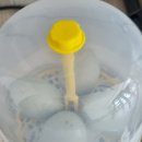 현모농장 이미지