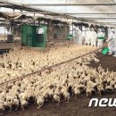 문백농장 이미지