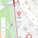 양재꽃시장에서 웨딩 촬영용 부케 구매한 후기(with 오이화원)