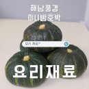 제철야채 땅끝해남풍경 GAP인증 해남 황토 미니밤호박