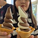 진한소프트 이미지