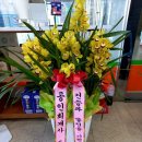 세신약국 이미지