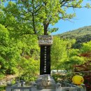 RR-23[만세로]-상-415 | 문화재가 많은 사찰, 의성 고운사(경북 의성군 단촌면 고운사길 415, 단촌면 구계리 116)