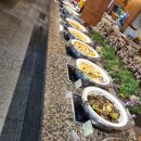 풀꽃세상채식뷔페 | 전주 맛집 채식뷔페 풀꽃세상