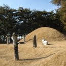 전사벌왕릉 이미지