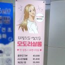 모도리살롱(네일) 네이버블로그