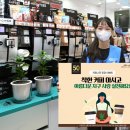 카페트리커피나무 이미지