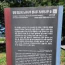 함평 향교 느티나무,팽나무,개서어나무 숲 | 함평 향교리 느티나무, 팽나무, 개서어나무 숲