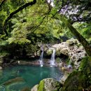 영천동주민센터화장실 이미지