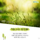 소만 입니다 이미지