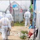 박상희 농장 이미지