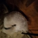 경북대학교 북문 이미지