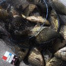 명곡 낚시터 이미지