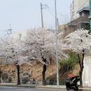 (주)소너스 | [조이오디오] 2026 로이코 오디오쇼!!