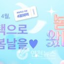 봄이 왔나 봄 이미지