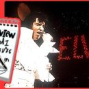 Re:엘비스 노래 사후 25년만에 영국 인기차트 1위 이미지