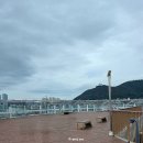 유라리광장 | 부산 영도다리 도개 명당 롯데 백화점 전망대 유라리 공원 비교 후기