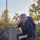 300대 명산 : 충북 보은 금적산 (652m) 이미지