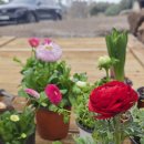 그린승마랜드 이미지