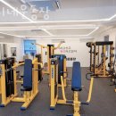 언니네 운동장 이미지