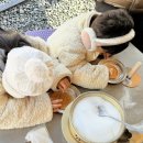 추억의 아이들 표정 | 경주여행 / 아이와 함께 즐길만한 곳 / 추억의 달동네