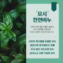 뜰엔향기협동조합