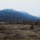 왁자지껄 동시놀이터 이미지