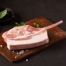 고기서 고기 이미지