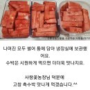 할인가=＞고창 하우스 7.9.10kg수박 판매 이미지