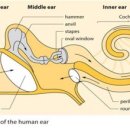 원창한의원 이미지