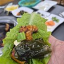 지중해자연산민물장어 이미지