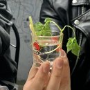 갈메기구이 이미지