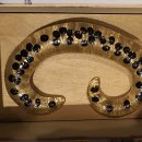 달성습지 생태 학습관 이미지