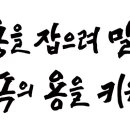 신원특허법률사무소