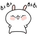 플로정아 이미지