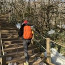 한라산백록담 | coros apex2와 함께한 한라산 백록담 등산후기(｡･ө･｡)