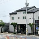 레드핀휠