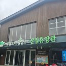 거창 항노화 힐링랜드 숲속의 집 단지봉 106호 후기