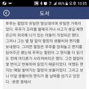 꿈꾸는고양이 이미지