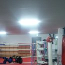 파워복싱 이미지