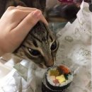 대막 이미지