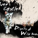 실버캐슬 캐터리 이미지