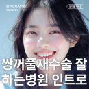 인트로성형외과의원 이미지