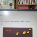 김월선토탈공예 이미지