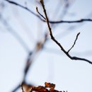 신탄리 이미지