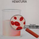 변상희산부인과의원 이미지