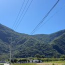 나리상회 이미지