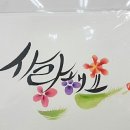 알지 아라 이미지
