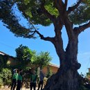 고삼면사무소 이미지